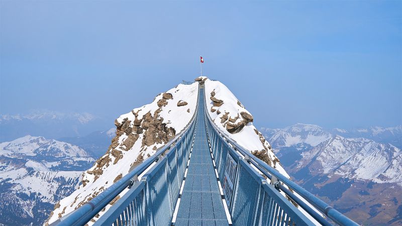 Bioinspired Materials Conference 2026 in Les Diablerets | NCCR Bio-Inspired Materials posted on the topic | LinkedIn