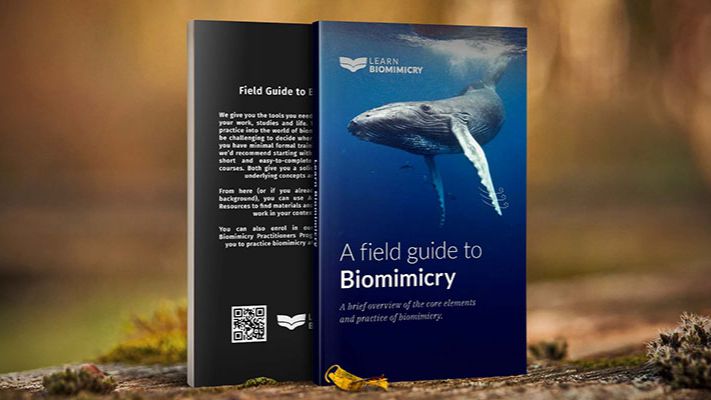 Biomimicry Free ebook 