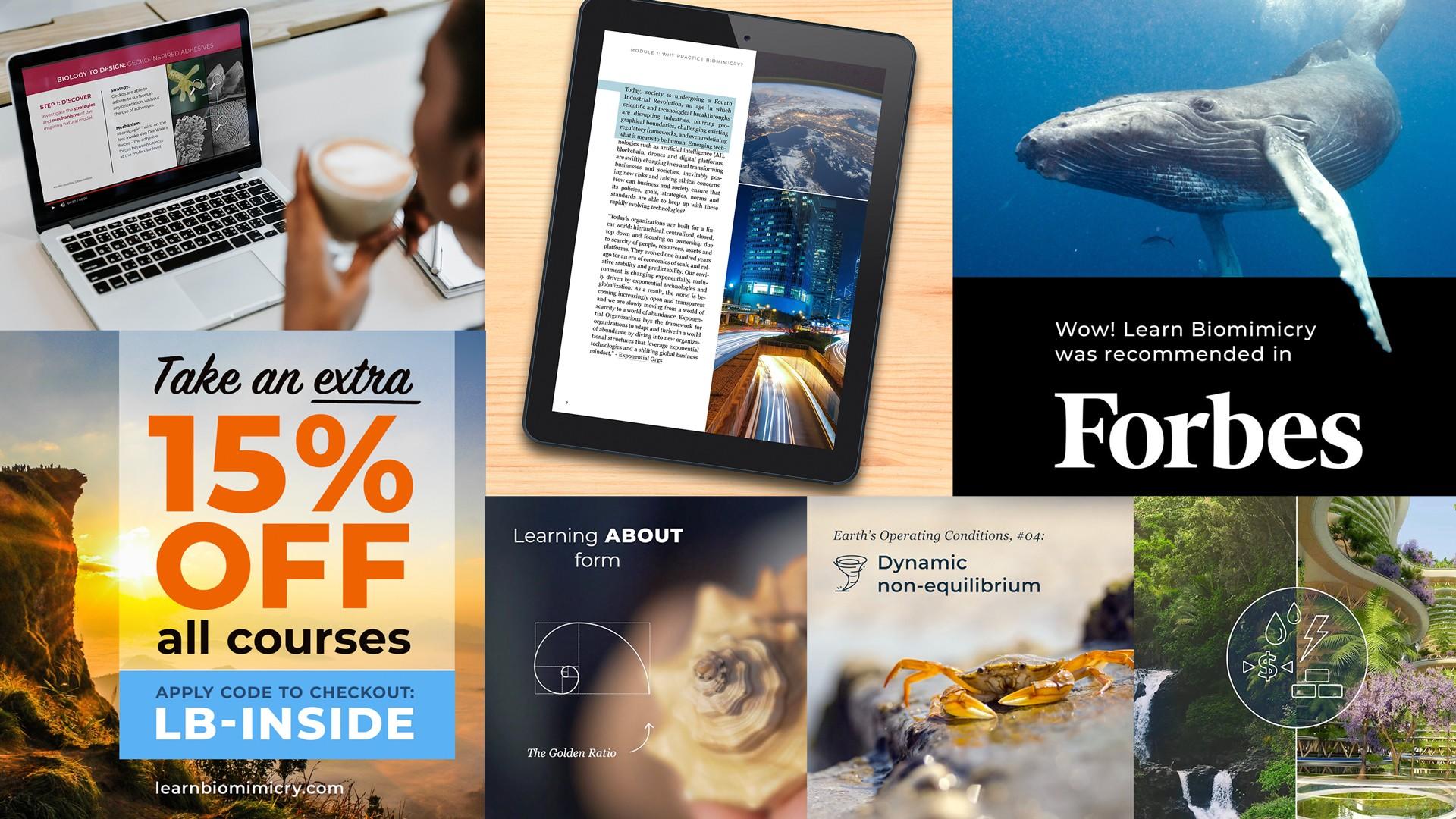 Biomimicry Learning Resources