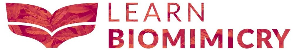 Learn Biomimicry Logo - Purple