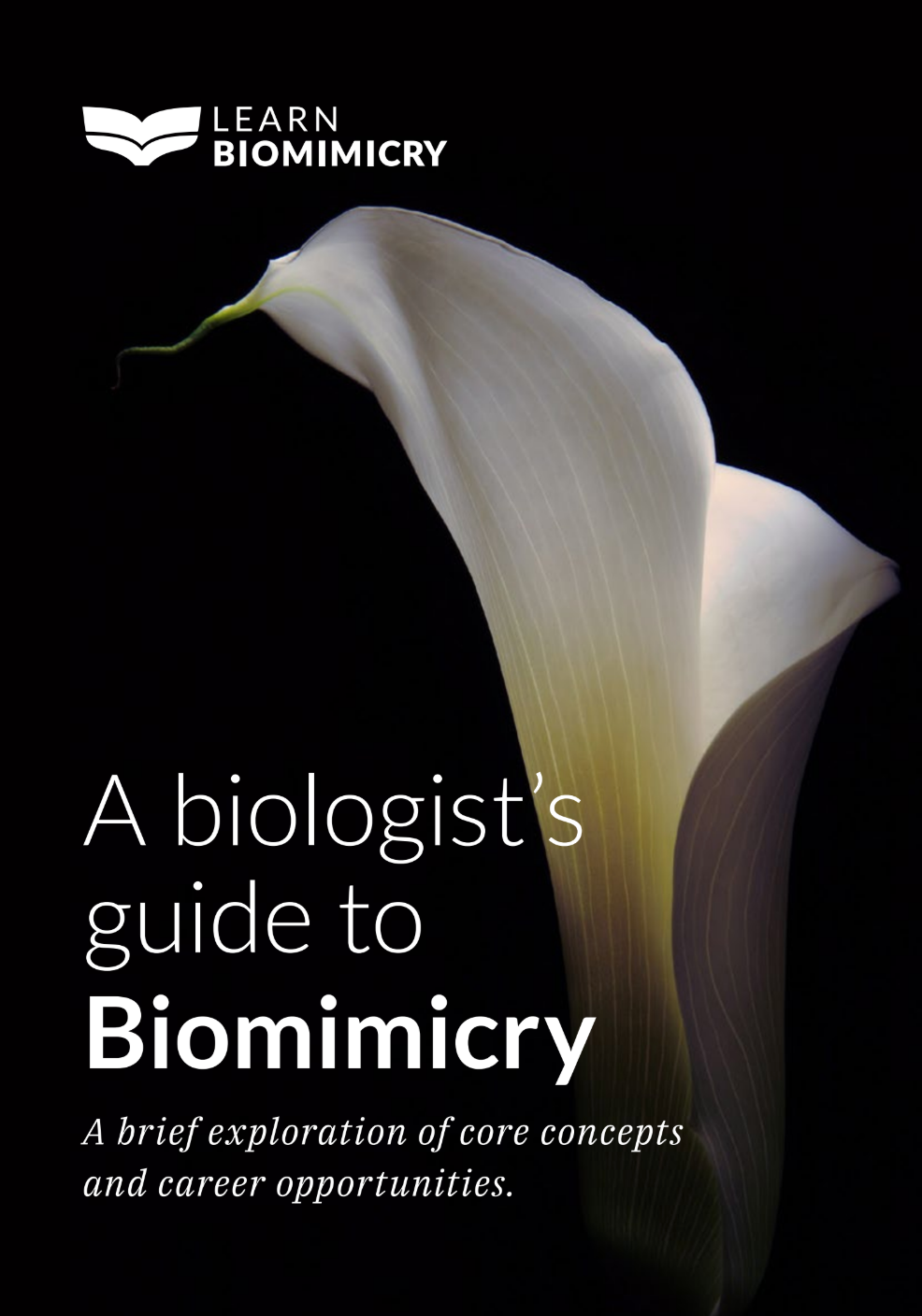 Biomimicry ebook - free offer