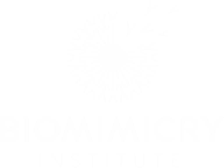 Biomimicry Institute - Certified Course