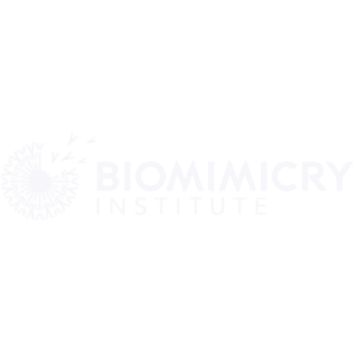 The Biomimicry Institute Logo - Black Background