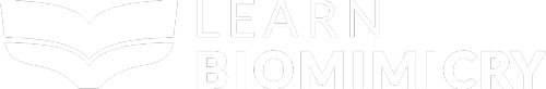 Footer Logo Learn Biomimicry