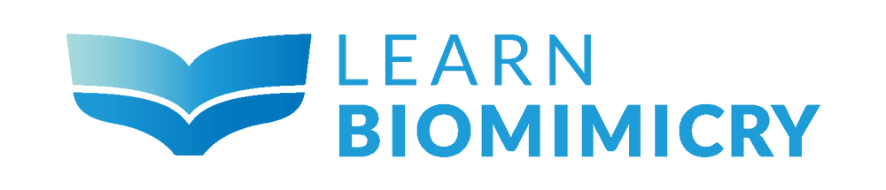 Learn Biomimicry Courses - Contact Us Page