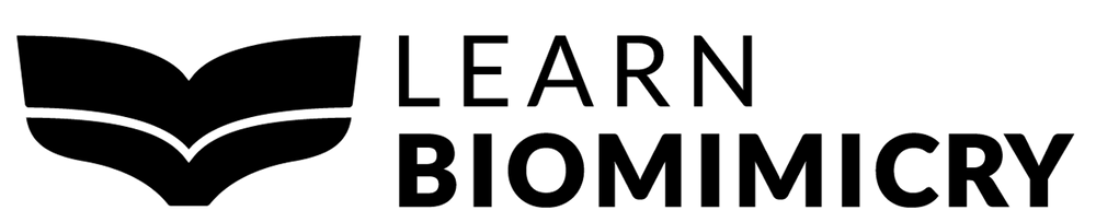 Footer Logo Learn Biomimicry