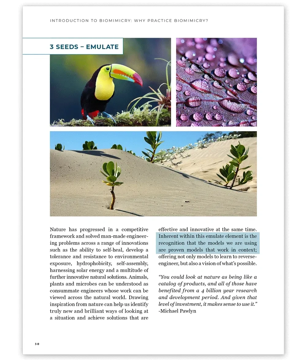 The three seeds of biomimicry