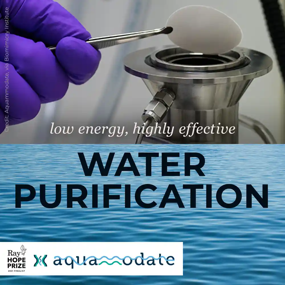 Water filtration membrane inspired by aquaporin protein channels and diatom silica structure for desalination image two