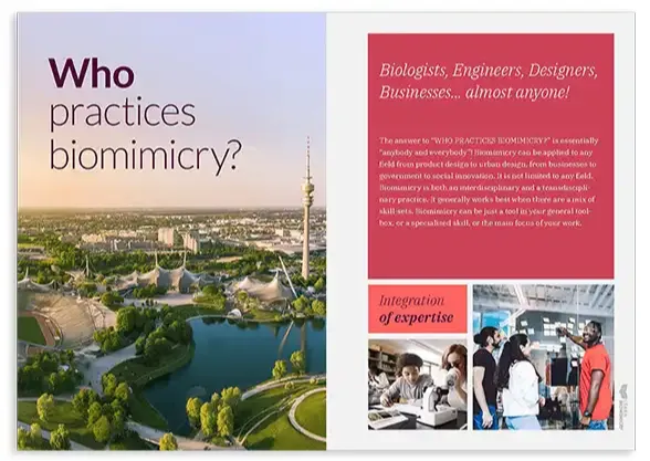 Who practices biomimicry?