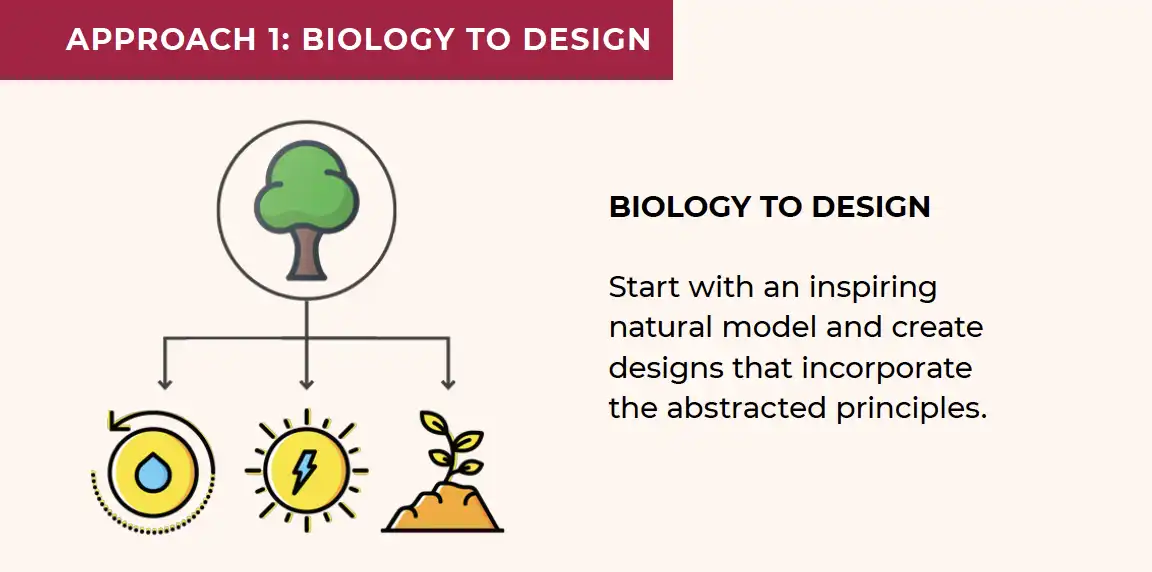 Biology to Design Framework Diagram