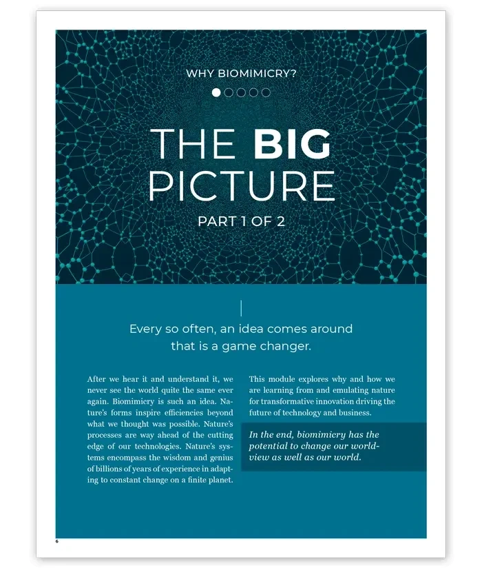 Introduction to Biomimicry Handbook