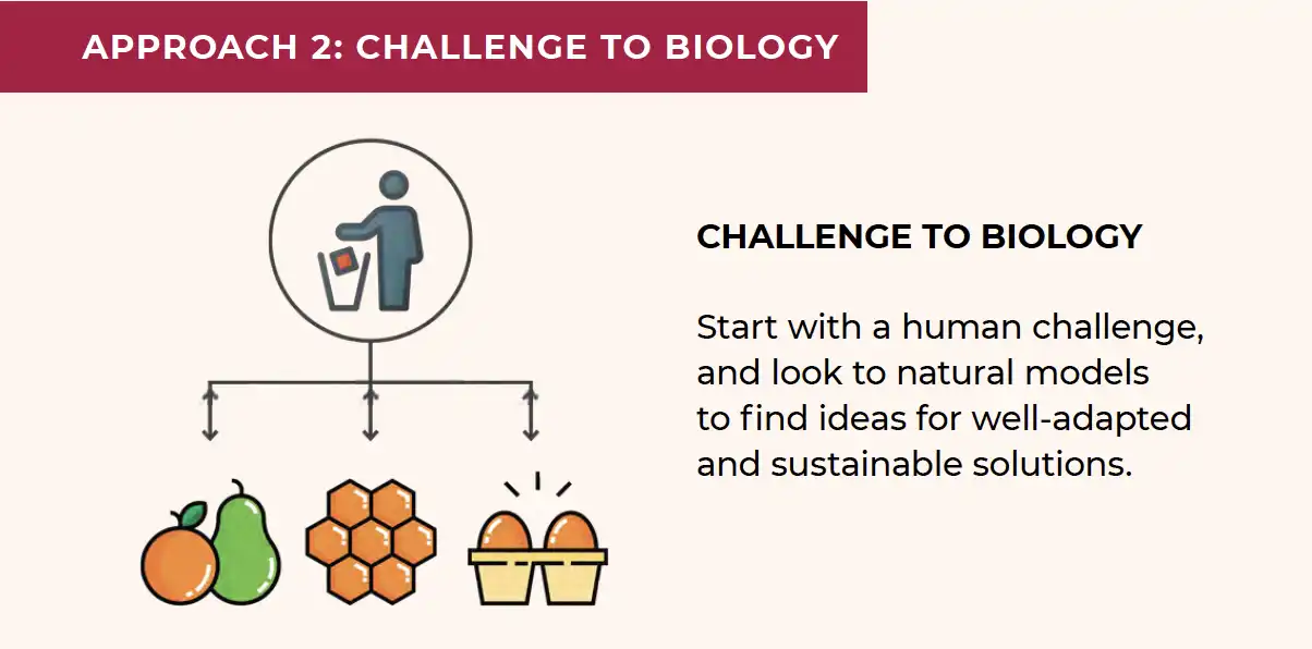 Challenge to Biology Framework Diagram