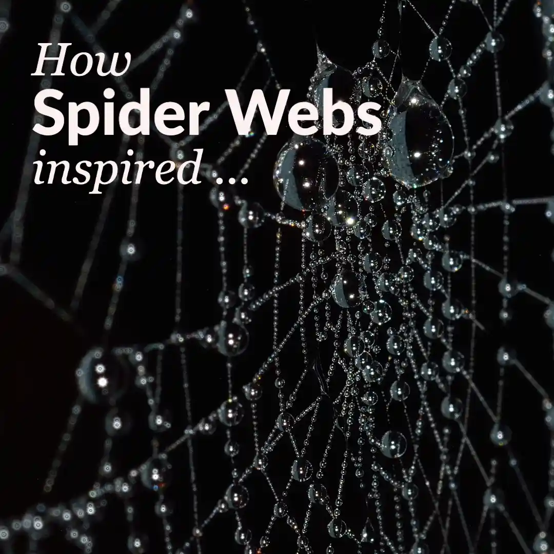 Ornilux bird protection glass featuring UV reflective patterns inspired by spider web silk to prevent bird collisions 1