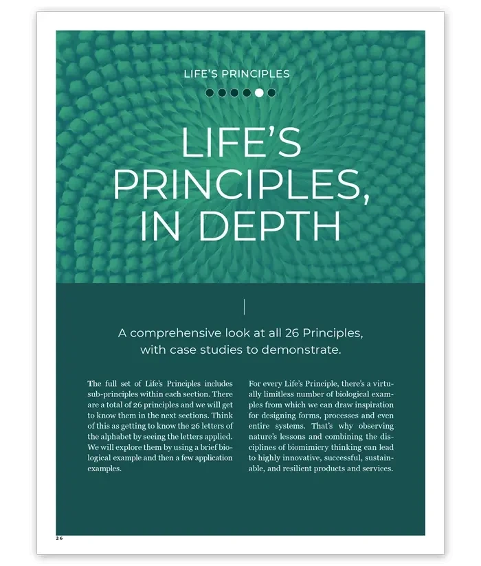 The Biomimicry Life's Principles Short Course