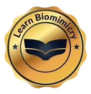 Biomimicry Course Certificate