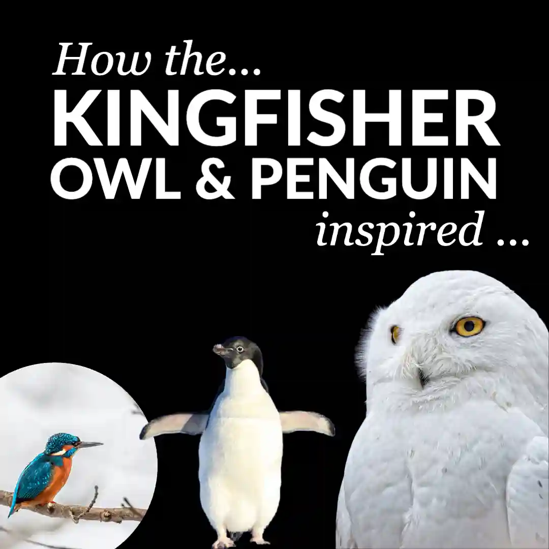 Japanese Shinkansen Bullet Train design inspired by the splash-less entry of a Kingfisher beak 1