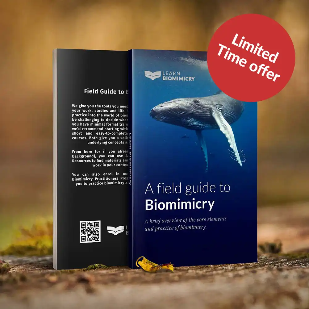 A Field Guide to Biomimicry eBook Mockup