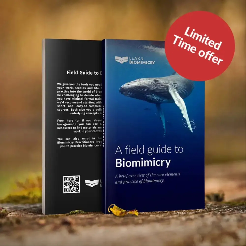 Biomimicry ebook - free offer