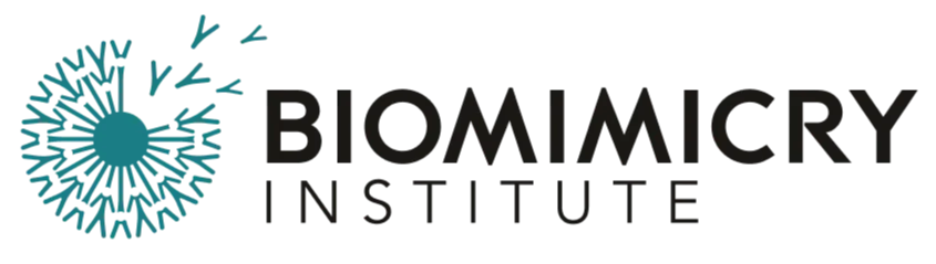 University of Montréal Logo