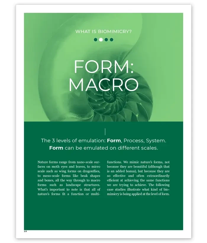 Biomimicry Masterclass Handbook