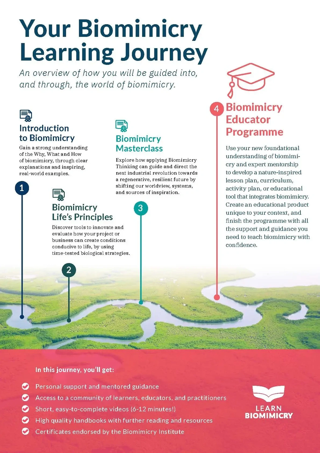 Biomimicry Educator Course overview