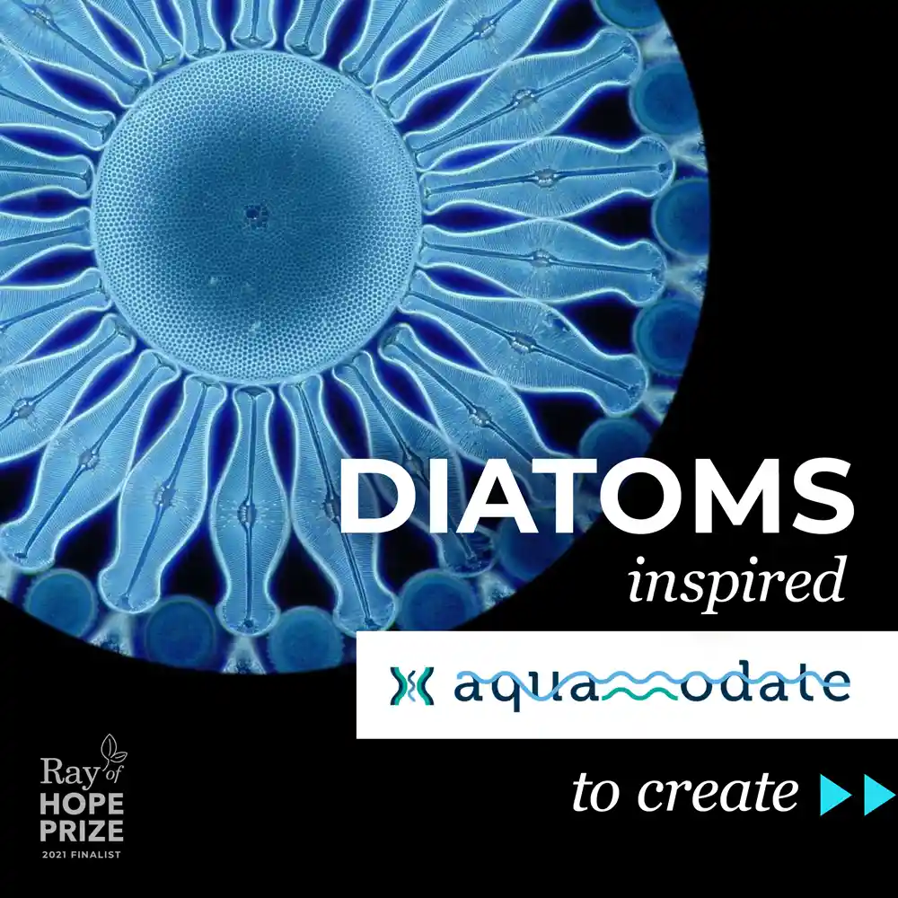 Water filtration membrane inspired by aquaporin protein channels and diatom silica structure for desalination